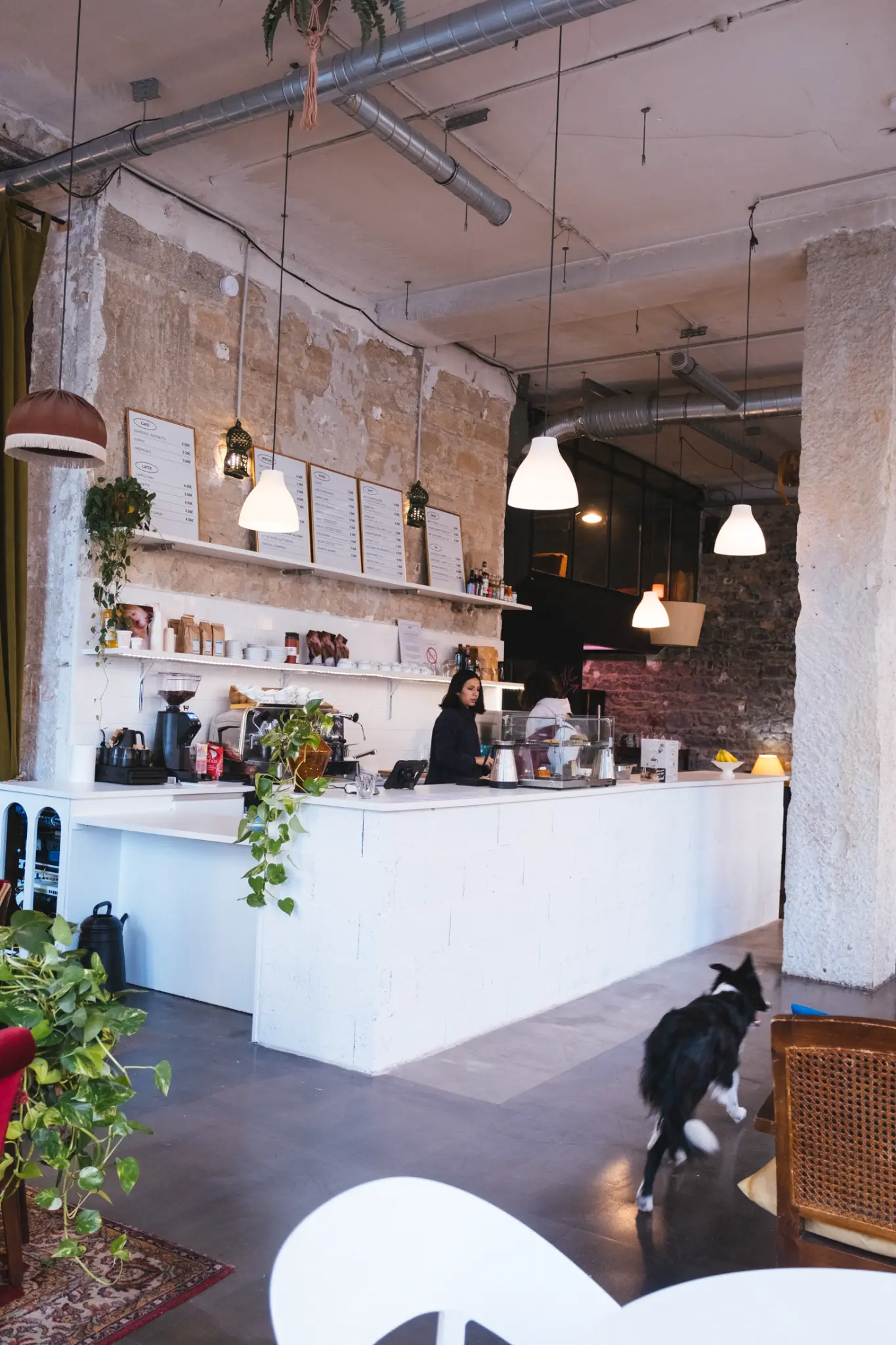 ballad™ café - Lyon 7